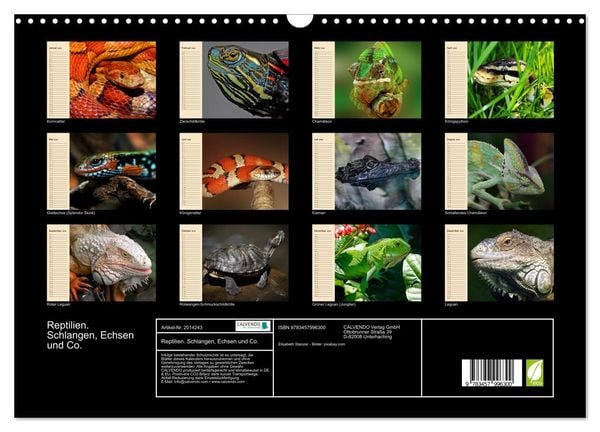 Produktbild: Reptilien. Schlangen, Echsen und Co. (Wandkalender 2026 DIN A3 quer), CALVENDO Monatskalender