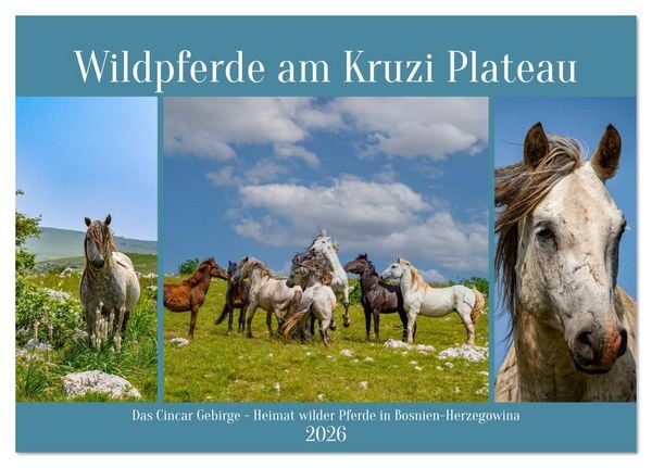 Produktbild: Wildpferde am Kruzi Plateau (Tischkalender 2026 DIN A5 quer), CALVENDO Monatskalender