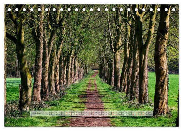 Produktbild: Wald im Bergischen Land 2027 (Tischkalender 2027 DIN A5 quer), CALVENDO Monatskalender