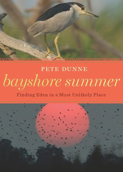 Produktbild: Bayshore Summer