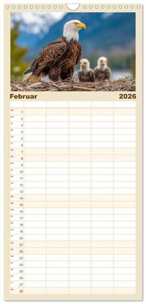 Produktbild: Familienplaner 2026 - Majest&auml;tische Wei&szlig;kopfseeadler - Der K&ouml;nig der L&uuml;fte mit 5 Spalten (Wandkalender, 21 x 45 cm) CALVENDO