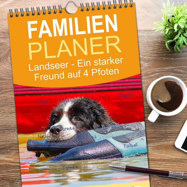 Produktbild: Familienplaner 2026 - Landseer - Ein starker Freund auf 4 Pfoten mit 5 Spalten (Wandkalender, 21 x 45 cm) CALVENDO