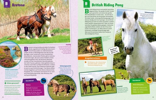 Produktbild: WAS IST WAS Pferde und Ponys