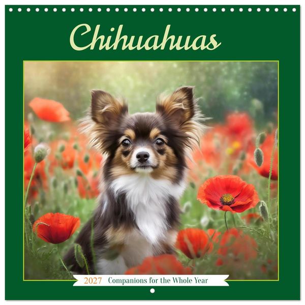 Produktbild: Chihuahuas - Companions for the Whole Year (Wall Calendar 2027 12 &times; 12 Inch) CALVENDO 12 Month Wall Calendar