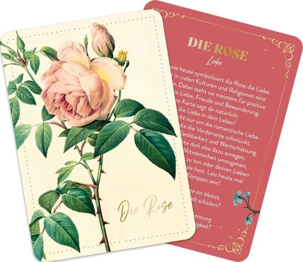 Produktbild: Die geheimnisvolle Sprache der Blumen &ndash; 50 Orakelkarten f&uuml;r das ganze Jahr