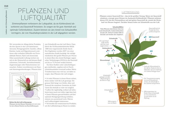 Produktbild: Meine Zimmerpflanze und ich