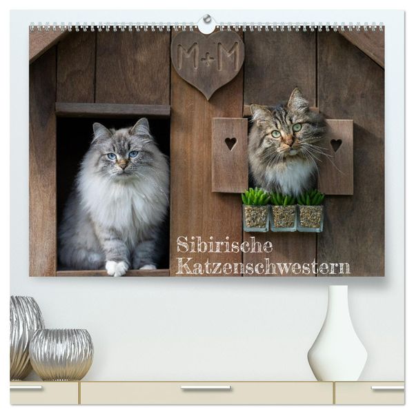 Maui und Molokai - Sibirische Katzenschwestern (hochwertiger Premium Wandkalender 2024 DIN A2 quer), Kunstdruck in Hochg