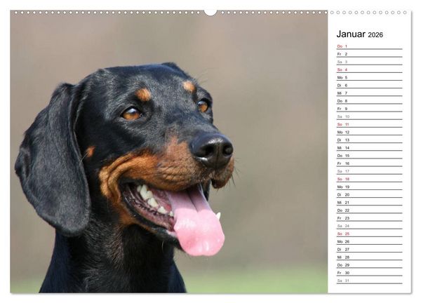 Produktbild: Der Brandlbracken-Terminplaner (hochwertiger Premium Wandkalender 2026 DIN A2 quer), Kunstdruck in Hochglanz