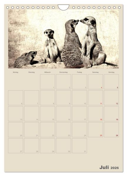 Produktbild: Lustige Erdm&auml;nnchen (Wandkalender 2026 DIN A4 hoch), CALVENDO Monatskalender
