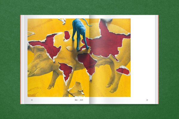 Produktbild: Eckart Hahn: Papiertiger