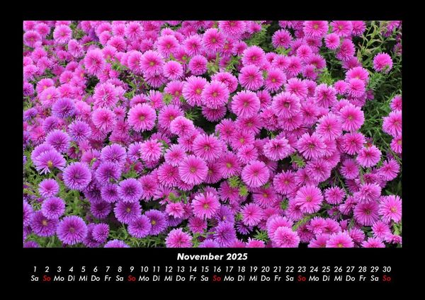 Produktbild: Pflanzen und Bl&uuml;ten 2025 Fotokalender DIN A3