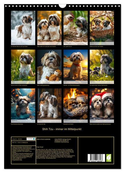 Produktbild: Shih Tzu - immer im Mittelpunkt (Wandkalender 2026 DIN A3 hoch), CALVENDO Monatskalender