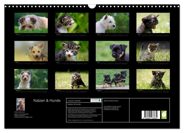 Produktbild: Katzen & Hunde (Wandkalender 2027 DIN A3 quer), CALVENDO Monatskalender