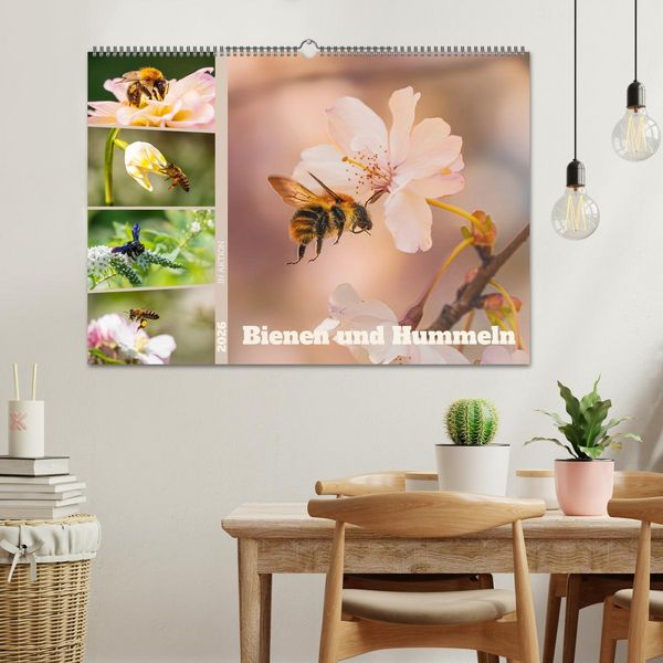 Produktbild: Bienen und Hummeln in Aktion (Wandkalender 2026 DIN A2 quer), CALVENDO Monatskalender