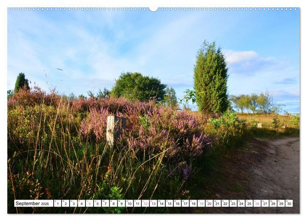 Produktbild: Heidelandschaft im Farbenspiel der Natur (Wandkalender 2026 DIN A2 quer), CALVENDO Monatskalender