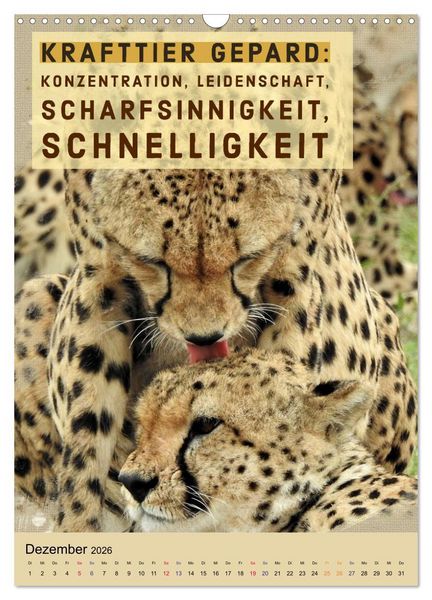 Produktbild: Afrikanische Krafttiere und deren Bedeutung (Wandkalender 2026 DIN A3 hoch), CALVENDO Monatskalender