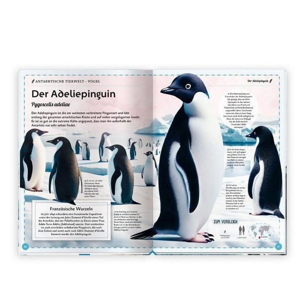 Produktbild: TR&Ouml;TSCH - Kinderbuch Das gro&szlig;artige Buch der Polartiere| Ab 8 Jahren