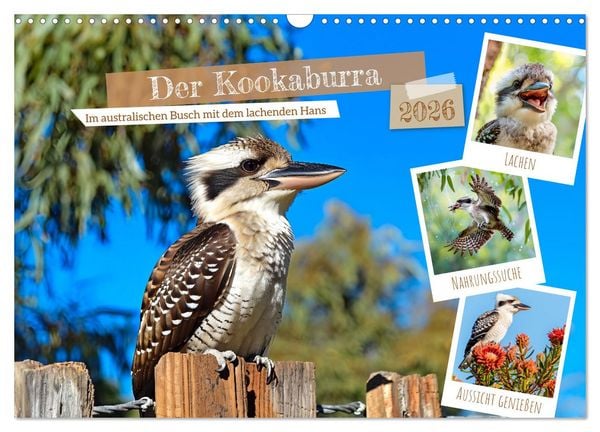Produktbild: Der Kookaburra - Im australischen Busch mit dem lachenden Hans (Wandkalender 2026 DIN A3 quer), CALVENDO Monatskalender