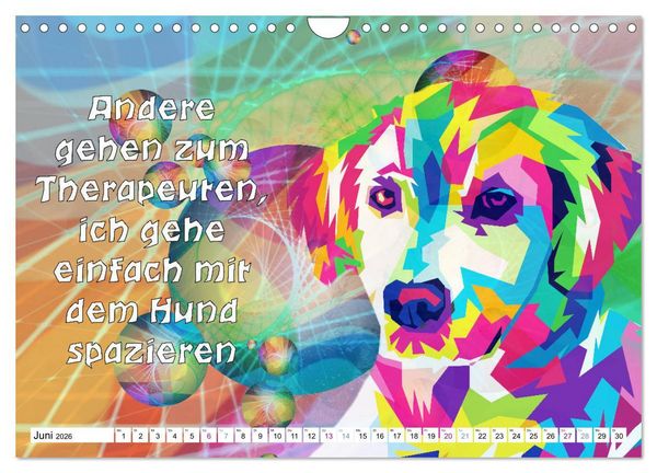 Produktbild: Spruchkalender - frech und bunt (Wandkalender 2026 DIN A4 quer), CALVENDO Monatskalender