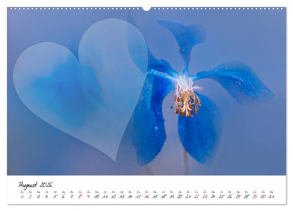Produktbild: Blauer Bl&uuml;tentraum - Bastelkalender (hochwertiger Premium Wandkalender 2026 DIN A2 quer), Kunstdruck in Hochglanz