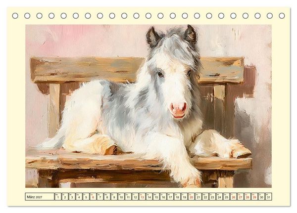 Produktbild: Zauberhafte Ponys. Kleine Pferdchen in lieblicher &Ouml;loptik (Tischkalender 2027 DIN A5 quer), CALVENDO Monatskalender