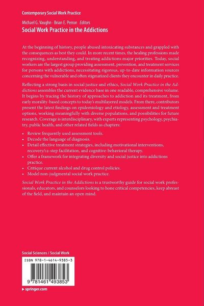 Produktbild: Social Work Practice in the Addictions
