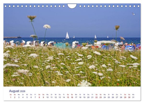 Produktbild: Radtouren ab Eckernf&ouml;rde (Wandkalender 2026 DIN A4 quer), CALVENDO Monatskalender