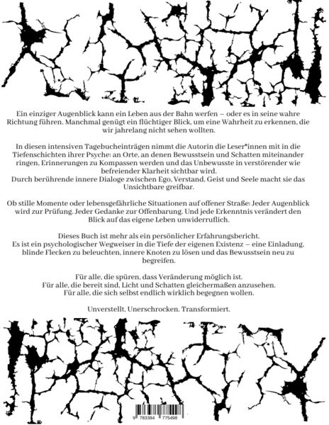 Produktbild: Das Tagebuch von Sinev Jasun. "Eine Perspektive aus der Zwischenwelt - zwischen Schatten und Licht."