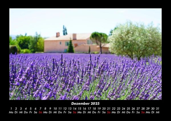 Produktbild: Blumentr&auml;ume 2025 Fotokalender DIN A3