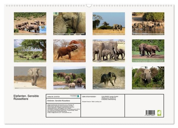 Produktbild: Elefanten. Sensible R&uuml;sseltiere (Wandkalender 2026 DIN A2 quer), CALVENDO Monatskalender