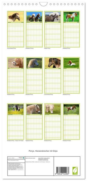 Produktbild: Familienplaner 2026 - Ponys. Herzensbrecher mit Grips mit 5 Spalten (Wandkalender, 21 x 45 cm) CALVENDO