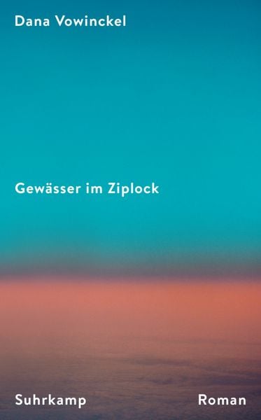 Gewässer im Ziplock, Taschenbuch von Dana Vowinckel, Suhrkamp