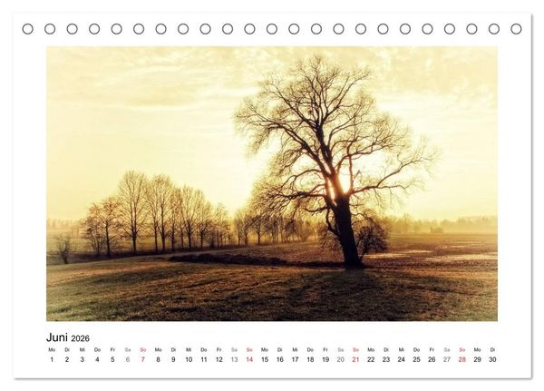 Produktbild: Vorarlberg Bodensee-Traum2026 (Tischkalender 2026 DIN A5 quer), CALVENDO Monatskalender