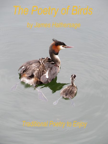Produktbild: The Poetry of Birds