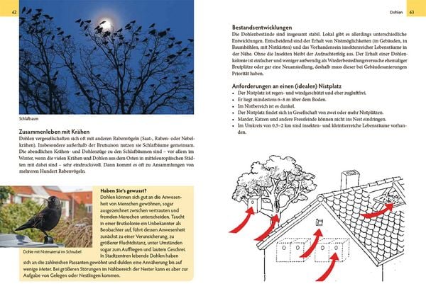 Produktbild: Wildtiere am Haus
