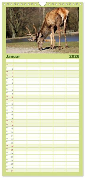 Produktbild: Familienplaner 2026 - Hirsche - K&ouml;nige des Waldes mit 5 Spalten (Wandkalender, 21 x 45 cm) CALVENDO