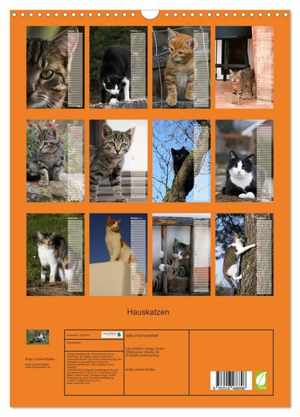 Produktbild: Hauskatzen (Wandkalender 2026 DIN A3 hoch), CALVENDO Monatskalender