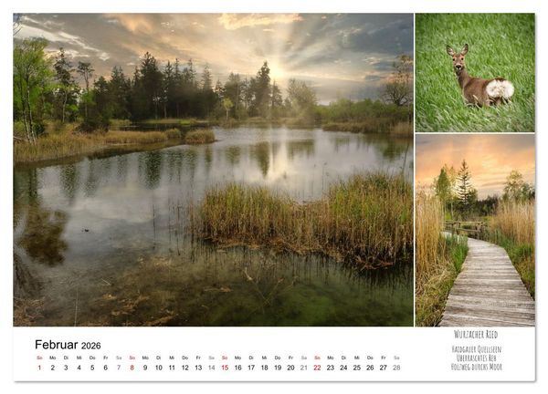 Produktbild: Schwabens Riede und Moore (Wandkalender 2026 DIN A2 quer), CALVENDO Monatskalender