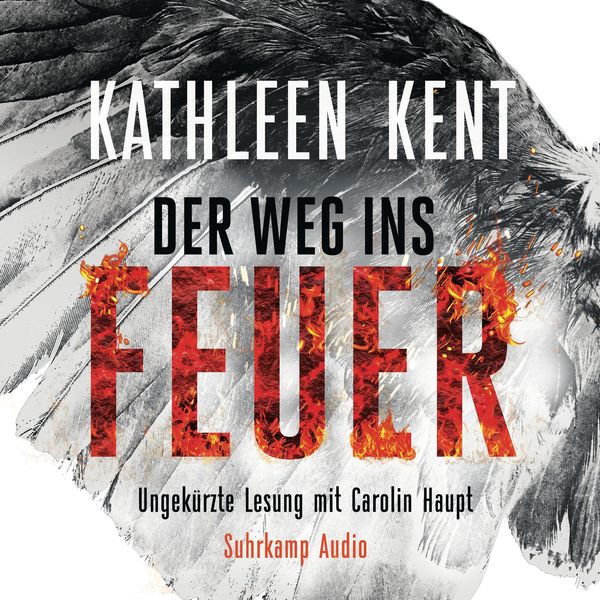 Produktbild: Der Weg ins Feuer
