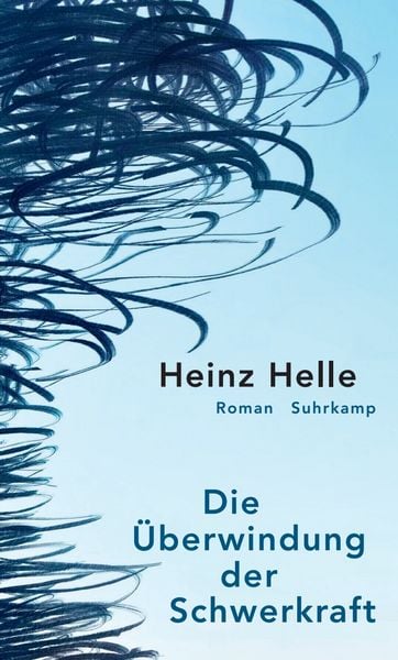 Produktbild: Die &Uuml;berwindung der Schwerkraft