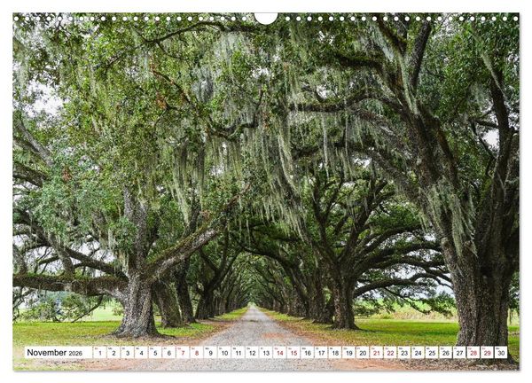 Produktbild: Louisiana - S&uuml;mpfe und Plantagenh&auml;user (Wandkalender 2026 DIN A3 quer), CALVENDO Monatskalender