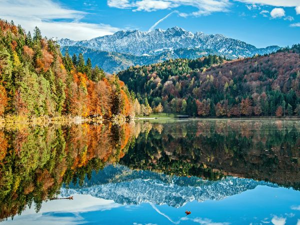 Produktbild: CALVENDO Puzzle Wasserspiegelung am Hechtsee 1000 Teile Lege-Gr&ouml;&szlig;e 64 x 48 cm Foto-Puzzle Bild von Sascha Ferrari
