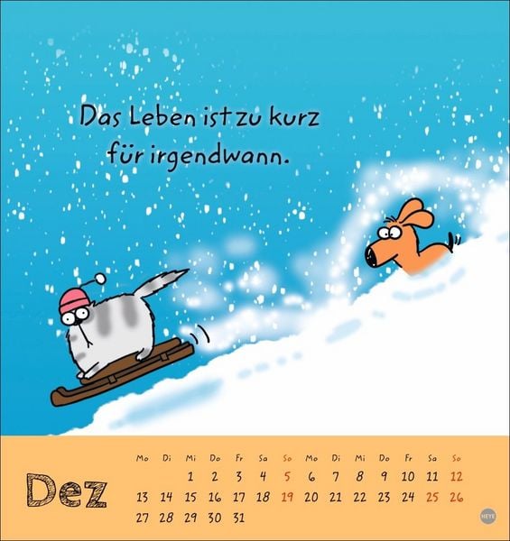 Produktbild: Catzz Postkartenkalender 2027