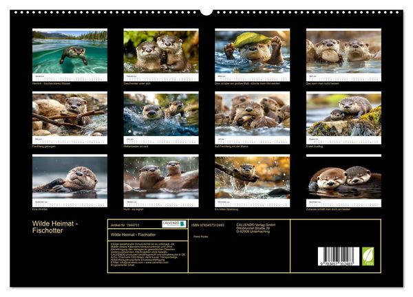 Produktbild: Wilde Heimat - Fischotter (hochwertiger Premium Wandkalender 2026 DIN A2 quer), Kunstdruck in Hochglanz