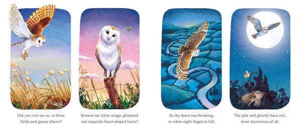 Produktbild: I am Emily the Owl