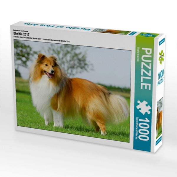 Produktbild: CALVENDO Puzzle Ein Motiv aus dem Kalender Sheltie 2017 | 1000 Teile Lege-Gr&ouml;&szlig;e 64x48cm Foto-Puzzle f&uuml;r gl&uuml;ckliche Stunden