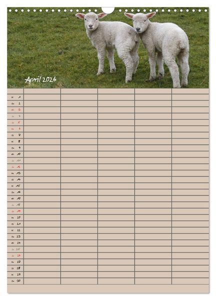 Produktbild: Der bel&auml;mmerte Familienplaner (Wandkalender 2026 DIN A3 hoch), CALVENDO Monatskalender