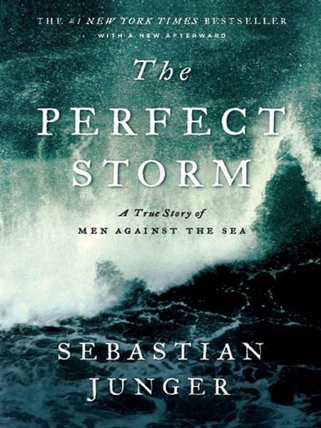Produktbild: The Perfect Storm