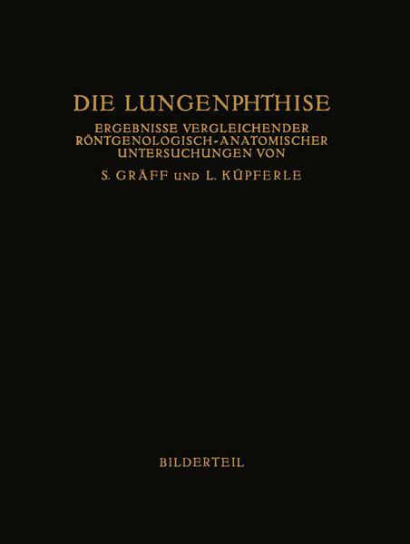Produktbild: Die Lungenphthise