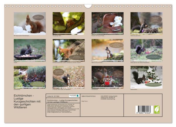 Produktbild: Eichh&ouml;rnchen - Lustige Kurzgeschichten mit den quirligen Wildtieren (Wandkalender 2026 DIN A3 quer), CALVENDO Monatskalender